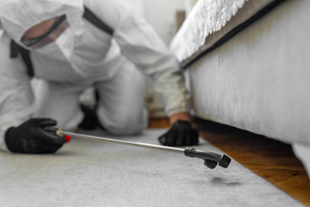 Professional Termite Control technician working in Watonga, OK