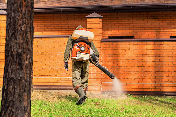 Top rated local Termite Control specialists in Watonga, OK